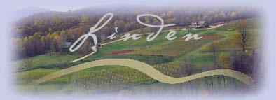 linden_logo.jpg (15593 bytes)